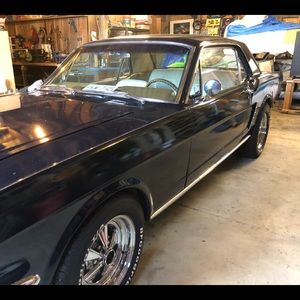 Meet your Posher, Wyatt